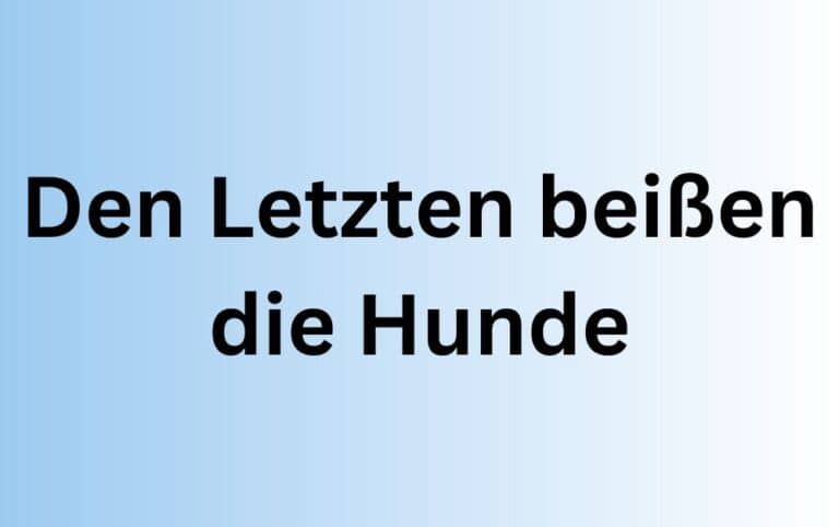 Die Letzten Beißen Die Hunde Bedeutung